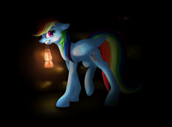 Size: 3400x2500 | Tagged: safe, artist:klarapl, derpibooru import, rainbow dash, pegasus, pony, dark, lantern, solo