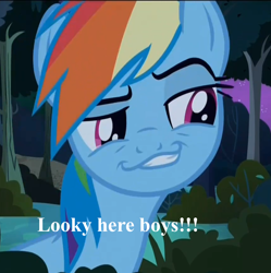 Size: 862x865 | Tagged: safe, rainbow dash, pegasus, pony, daring don't, image macro, smugdash, solo, text