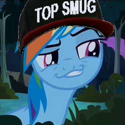 Size: 862x865 | Tagged: safe, rainbow dash, pegasus, pony, daring don't, baseball cap, faic, hat, image macro, meme, smug, smugdash, solo, top gun