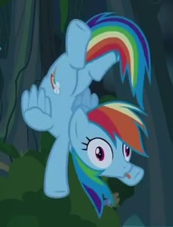 Size: 377x493 | Tagged: safe, screencap, rainbow dash, pegasus, pony, daring don't, :p, animation error, backbend, derp, female, flying, looking at you, mare, rainbow derp, silly, silly pony, solo, tongue out, wide eyes
