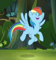 Size: 447x483 | Tagged: safe, screencap, rainbow dash, pegasus, pony, daring don't, flying, happy, solo