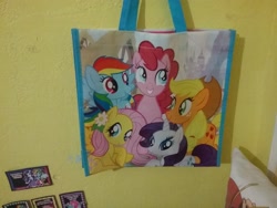 Size: 2592x1944 | Tagged: safe, derpibooru import, applejack, fluttershy, pinkie pie, rainbow dash, rarity, irl, photo, tote bag