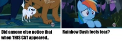 Size: 1283x436 | Tagged: safe, screencap, rainbow dash, cat, pegasus, pony, daring don't, ahuizotl's cats, animal, fear, female, hissing, kitten, mare, mitsy, scared