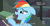 Size: 1152x608 | Tagged: safe, screencap, rainbow dash, pegasus, pony, daring don't, funny, meme, solo, youtube caption