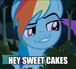 Size: 918x828 | Tagged: safe, rainbow dash, pegasus, pony, daring don't, image macro, smirk, smug, smugdash, solo