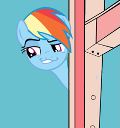 Size: 565x600 | Tagged: safe, rainbow dash, pegasus, pony, daring don't, forced meme, meme, smugdash, solo, that fucking cat, that fucking dash