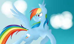 Size: 1024x604 | Tagged: safe, artist:despotshy, derpibooru import, rainbow dash, pegasus, pony, cloud, solo