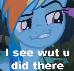 Size: 330x317 | Tagged: safe, rainbow dash, pegasus, pony, daring don't, meme, smirk, smugdash, solo