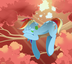 Size: 4000x3536 | Tagged: safe, artist:b-epon, derpibooru import, rainbow dash, pegasus, pony, backwards cutie mark, eyes closed, female, mare, sleeping, smiling, solo, tree