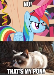 Size: 697x960 | Tagged: safe, rainbow dash, pegasus, pony, daring don't, caption, grumpy cat, grumpy dash, national random holiday party day, that's my pony