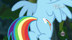 Size: 700x394 | Tagged: safe, screencap, rainbow dash, pegasus, pony, daring don't, animated, dancing, out of context, plot, solo, twerking