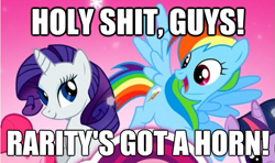 Size: 625x370 | Tagged: safe, derpibooru import, pinkie pie, rainbow dash, rarity, twilight sparkle, earth pony, pegasus, pony, unicorn, captain obvious, caption, gameloft, horn, image macro, vulgar