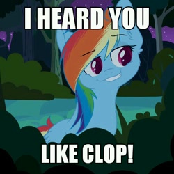 Size: 450x450 | Tagged: safe, rainbow dash, pegasus, pony, daring don't, clop, image macro, smugdash, solo