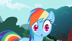 Size: 1280x720 | Tagged: safe, derpibooru import, screencap, rainbow dash, pegasus, pony, may the best pet win, looking at you