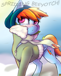 Size: 2400x3000 | Tagged: safe, artist:captainpudgemuffin, derpibooru import, rainbow dash, pegasus, pony, blushing, clothes, coat, female, hat, mare, scarf, solo, vulgar, wind