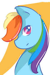 Size: 732x1088 | Tagged: safe, artist:fluffleduckle, derpibooru import, rainbow dash, pegasus, pony, bust, looking at you, portrait, simple background, solo