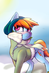 Size: 2400x3600 | Tagged: safe, artist:captainpudgemuffin, derpibooru import, rainbow dash, pegasus, pony, beanie, blushing, clothes, cute, dashabetes, female, hat, jacket, mare, solo