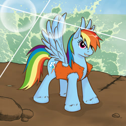 Size: 800x800 | Tagged: safe, artist:redhotkick, rainbow dash, pegasus, pony, clothes, ocean, pirate dash, solo, vest