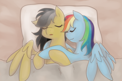 Size: 600x400 | Tagged: safe, artist:norang94, daring do, rainbow dash, pegasus, pony, cuddling, daringdash, female, lesbian, shipping, sleeping, snuggling