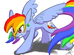 Size: 2048x1516 | Tagged: safe, artist:marvelousqueen, derpibooru import, rainbow dash, pegasus, pony, blue coat, female, mare, multicolored mane, simple background, solo, white background, wings