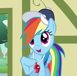 Size: 798x792 | Tagged: safe, screencap, rainbow dash, pegasus, pony, flight to the finish, cute, hat, smiling, solo, whistle