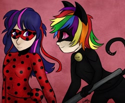 Size: 1522x1253 | Tagged: safe, artist:mylittlelevi64, derpibooru import, rainbow dash, twilight sparkle, human, chat noir, crossover, female, humanized, lesbian, miraculous ladybug, shipping, twidash