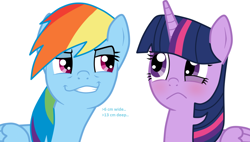 Size: 1024x581 | Tagged: safe, rainbow dash, twilight sparkle, twilight sparkle (alicorn), alicorn, pegasus, pony, female, flirting, lesbian, mare, pick-up line, rainbow dash's pick-up lines, shipping, smugdash, twidash