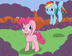 Size: 2771x2158 | Tagged: safe, artist:sncunleashed, derpibooru import, pinkie pie, rainbow dash, earth pony, pegasus, pony, female, forest, mare