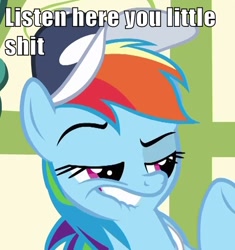 Size: 500x531 | Tagged: safe, rainbow dash, pegasus, pony, flight to the finish, dreamworks face, image macro, reaction image, smugdash, solo, vulgar