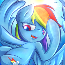 Size: 1800x1800 | Tagged: safe, artist:kyodashiro, rainbow dash, pegasus, pony, female, mare, open mouth, solo