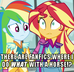 Size: 350x340 | Tagged: safe, derpibooru import, screencap, rainbow dash, sunset shimmer, equestria girls, friendship games, homedick shimmer, image macro, implied bestiality, meme