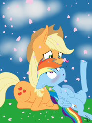 Size: 768x1024 | Tagged: safe, artist:ilaria122, derpibooru import, applejack, rainbow dash, earth pony, pegasus, pony, appledash, blushing, cherry blossoms, female, lesbian, shipping, wide eyes