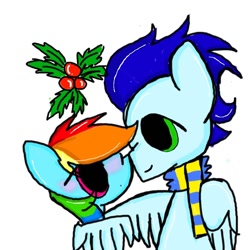 Size: 1000x1000 | Tagged: dead source, safe, artist:mlpdashie123, rainbow dash, soarin', pegasus, pony, blushing, female, holly, holly mistaken for mistletoe, male, shipping, soarindash, straight