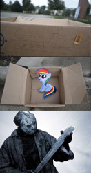 Size: 836x1584 | Tagged: safe, rainbow dash, pegasus, pony, fanfic:my little dashie, dashie meme, evil people finding dash meme, exploitable meme, friday the 13th, jason voorhees, meme