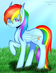 Size: 1024x1330 | Tagged: safe, artist:cannoncar, derpibooru import, rainbow dash, pegasus, pony, raised hoof, solo