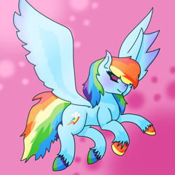 Size: 1000x1000 | Tagged: safe, artist:navybud, rainbow dash, pegasus, pony, hooves, solo, unshorn fetlocks