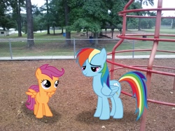 Size: 2592x1944 | Tagged: safe, artist:bobthelurker, artist:peachspices, artist:tokkazutara1164, rainbow dash, scootaloo, irl, park, photo, picnic, playground, ponies in real life, table, tree, vector