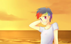 Size: 2560x1600 | Tagged: safe, artist:utmostplum, rainbow dash, human, humanized, light skin, reverse trap, solo