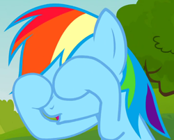 Size: 670x540 | Tagged: safe, derpibooru import, screencap, rainbow dash, pegasus, pony, too many pinkie pies, cropped, cute, solo