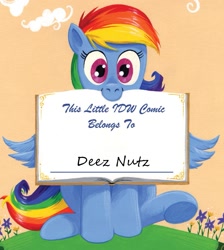 Size: 1207x1349 | Tagged: safe, artist:andypriceart, derpibooru import, idw, rainbow dash, pegasus, pony, spoiler:comic, spoiler:comic41, book belongs to, deez nutz