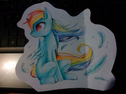 Size: 2448x1836 | Tagged: safe, artist:natx-chan, rainbow dash, pegasus, pony, photo, solo, traditional art