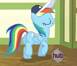 Size: 260x222 | Tagged: safe, screencap, rainbow dash, pegasus, pony, flight to the finish, blue coat, female, mare, multicolored mane, solo