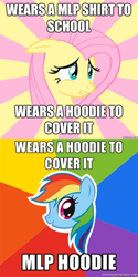 Size: 625x1250 | Tagged: safe, edit, fluttershy, rainbow dash, pegasus, pony, /mlp/, exploitable meme, meme, memegenerator