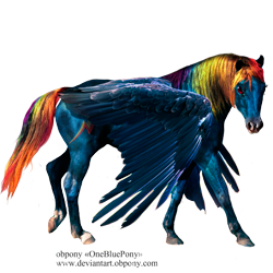 Size: 1500x1500 | Tagged: safe, artist:lulemt, derpibooru import, rainbow dash, horse, pegasus, pony, hoers, horsified, photoshop, realistic