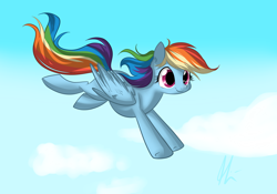 Size: 5000x3500 | Tagged: safe, artist:lolepopenon, rainbow dash, pegasus, pony, blue coat, female, flying, mare, multicolored mane, solo