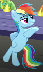 Size: 260x440 | Tagged: safe, derpibooru import, screencap, rainbow dash, pegasus, pony, rarity investigates, cropped