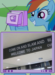 Size: 563x771 | Tagged: safe, rainbow dash, pegasus, pony, engrish, exploitable meme, japan, meme, obligatory pony, space jam, tv meme