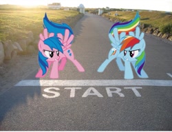 Size: 729x561 | Tagged: safe, edit, firefly, rainbow dash, g1, g1 to g4, generation leap, irl, photo, ponies in real life, race