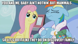 Size: 1249x713 | Tagged: safe, derpibooru import, edit, edited screencap, screencap, fluttershy, rainbow dash, tank, pegasus, pony, tanks for the memories, bathrobe, bedroom eyes, bloodhound gang, caption, clothes, dashie slippers, discovery family, discovery family logo, female, flutterdash, image macro, innuendo, lesbian, mare, meme, robe, seduction, shipping, slippers, song reference, tank slippers, the bad touch
