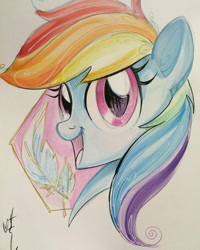 Size: 500x625 | Tagged: safe, artist:sararichard, derpibooru import, rainbow dash, pegasus, pony, solo, traditional art